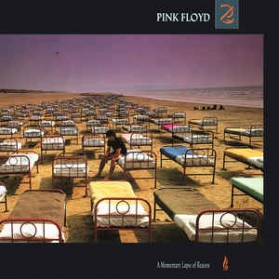 Pink Floyd ‎- A Momentary Lapse Of Reason