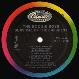 Boogie Boys - Survival Of The Freshest