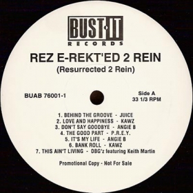 Various - Rez E-Rekt'ed 2 Rein (Resurrected 2 Rein)