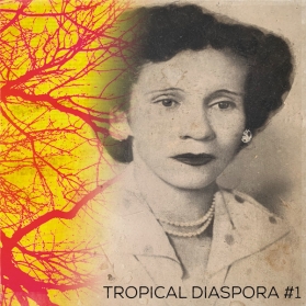 Various - Tropical Diaspora 1