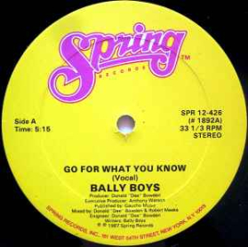 Bally Boys - Go For What You Know
