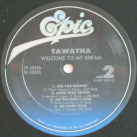 Tawatha ‎- Welcome To My Dream